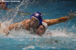 payton_cosenza_070.jpg